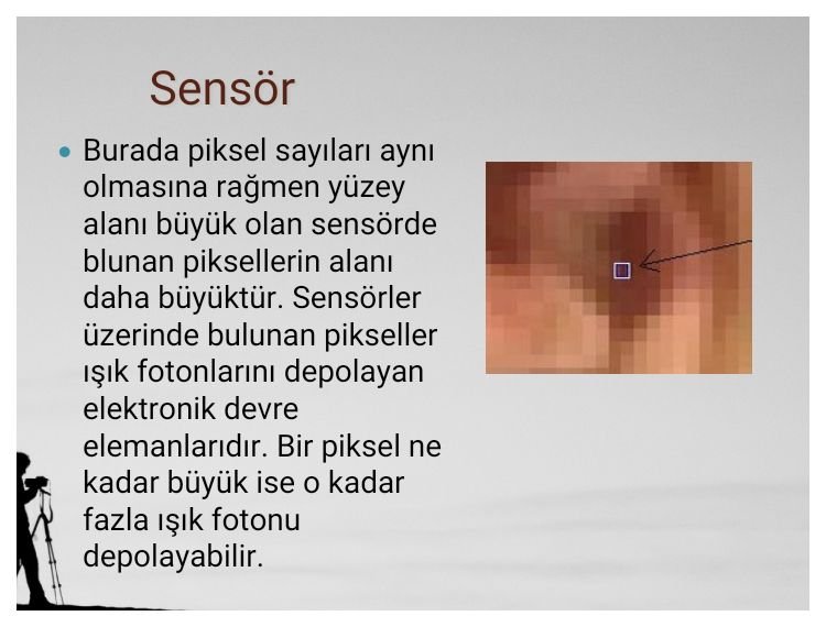 2024 Güzellik Trendleri